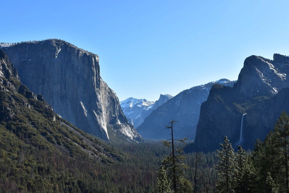 Fully Operational 4-Room Established Bed & Breakfast: 1221 Highway 41, Fish Camp, CA 93623